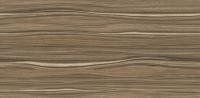 Керамическая плитка настенная Alma Ceramica Плессо / Plesso 249*500, TWU09PLS424