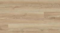 Ламинат KAINDL AQUA Pro Select  СТАНДАРТ  Дуб Crema