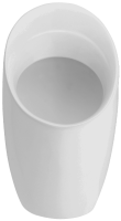 Писсуар Jacob Delafon PATIO /30х62х32/, E1546-00